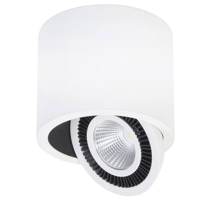 Spot Eye - opbouwspot - plafondspot - 15W Rond LED Mat Wit Dimbaar - Serie Eye - Spots - High Light - S740000