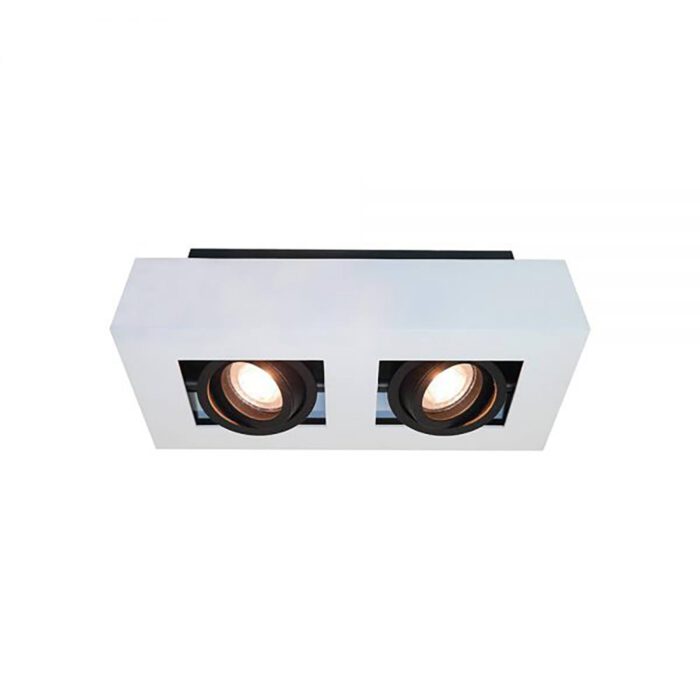Plafondlamp/opbouwspot wit-zwart 2-lichts "Bosco" 25x14xH8